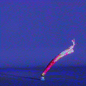 wacky_dude_tubes: 8219