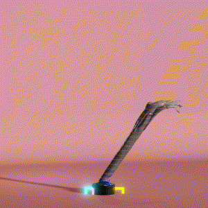 wacky_dude_tubes: 3920