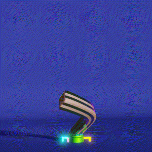 wacky_dude_tubes: 9133