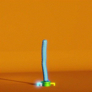 wacky_dude_tubes: 7432
