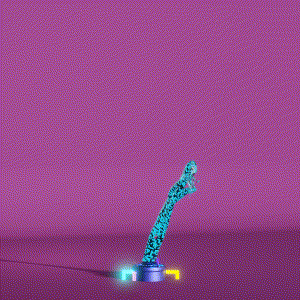 wacky_dude_tubes: 4588