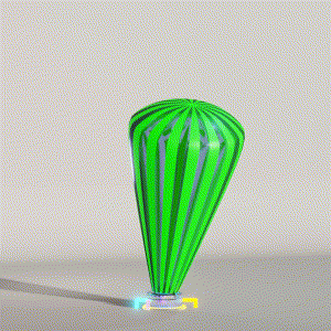 wacky_dude_tubes: 2494