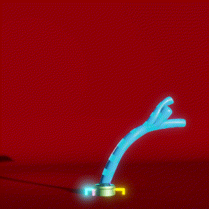 wacky_dude_tubes: 5221