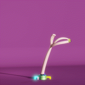 wacky_dude_tubes: 6695