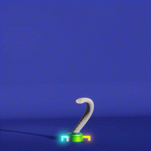 wacky_dude_tubes: 4046