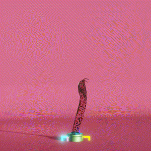 wacky_dude_tubes: 5623