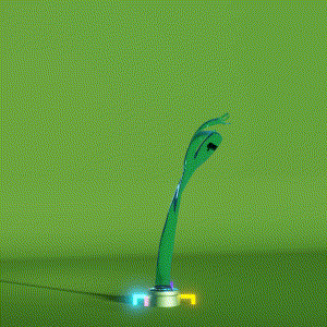 wacky_dude_tubes: 1159