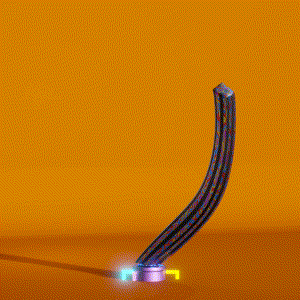 wacky_dude_tubes: 5347