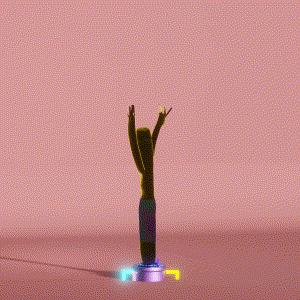 wacky_dude_tubes: 9595