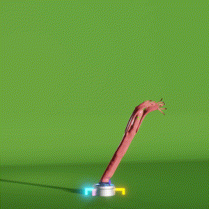 wacky_dude_tubes: 2458