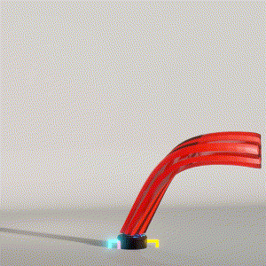 wacky_dude_tubes: 2064