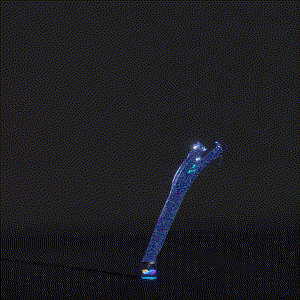 wacky_dude_tubes: 5122