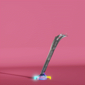 wacky_dude_tubes: 9532