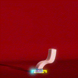 wacky_dude_tubes: 967