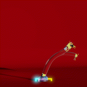 wacky_dude_tubes: 7712
