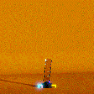 wacky_dude_tubes: 7586