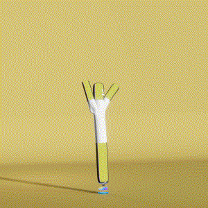 wacky_dude_tubes: 495