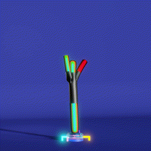wacky_dude_tubes: 2525