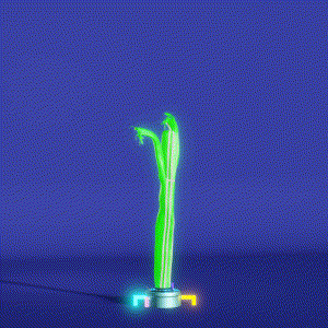 wacky_dude_tubes: 2663