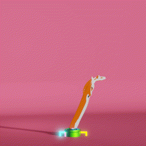 wacky_dude_tubes: 8861