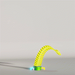 wacky_dude_tubes: 4009