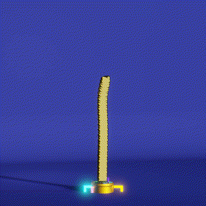 wacky_dude_tubes: 2060
