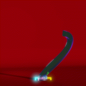 wacky_dude_tubes: 9323