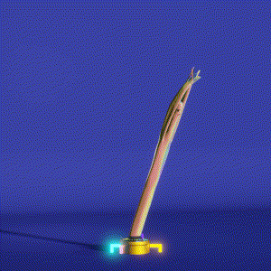 wacky_dude_tubes: 5867