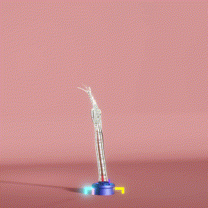 wacky_dude_tubes: 8800