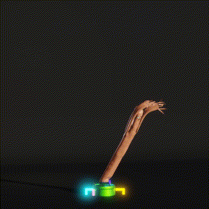 wacky_dude_tubes: 3838