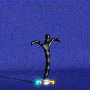 wacky_dude_tubes: 8247