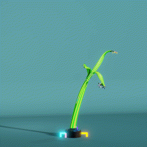 wacky_dude_tubes: 2253