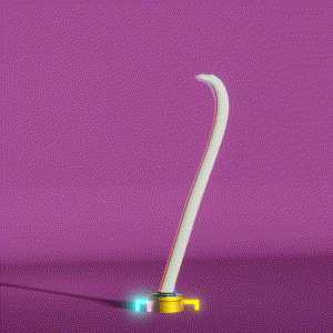 wacky_dude_tubes: 774