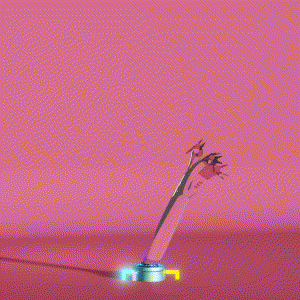 wacky_dude_tubes: 6577