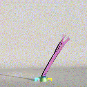 wacky_dude_tubes: 6732