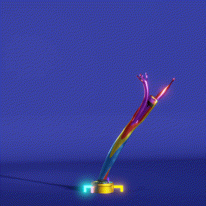 wacky_dude_tubes: 6646