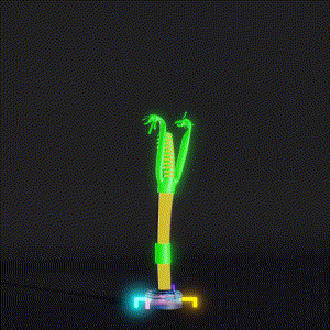 wacky_dude_tubes: 3006