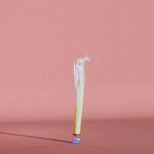 wacky_dude_tubes: 2008