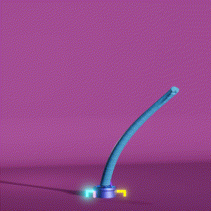 wacky_dude_tubes: 6179