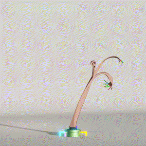 wacky_dude_tubes: 8617