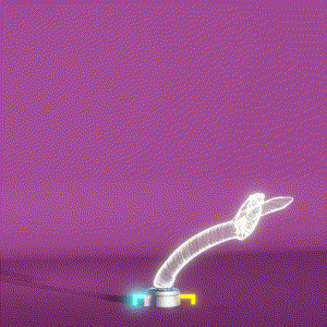 wacky_dude_tubes: 845