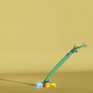 wacky_dude_tubes: 7893