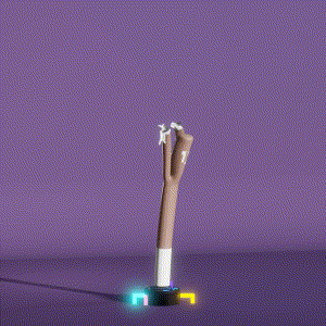 wacky_dude_tubes: 294