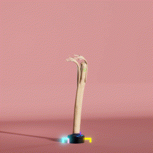 wacky_dude_tubes: 2241