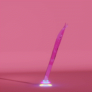 wacky_dude_tubes: 7358