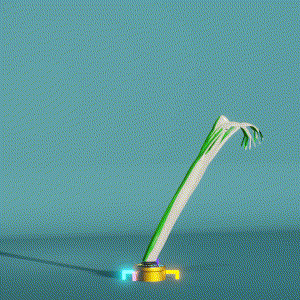 wacky_dude_tubes: 9744
