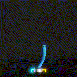 wacky_dude_tubes: 8772