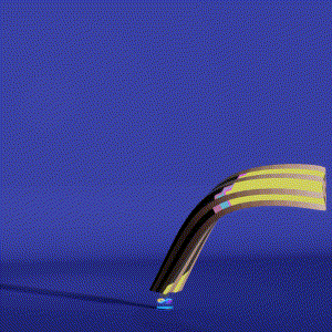 wacky_dude_tubes: 6813