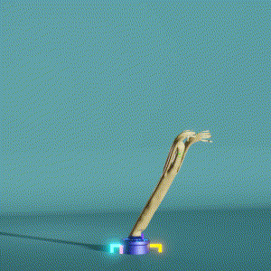 wacky_dude_tubes: 2927