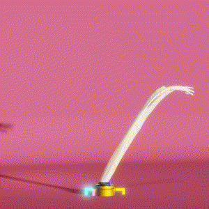 wacky_dude_tubes: 6923